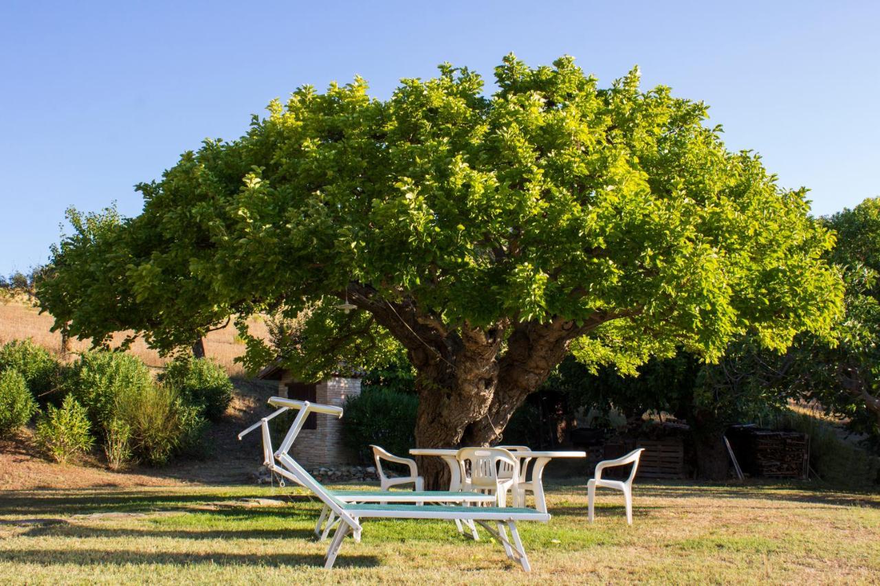 B&B Salvarosa Fano Extérieur photo