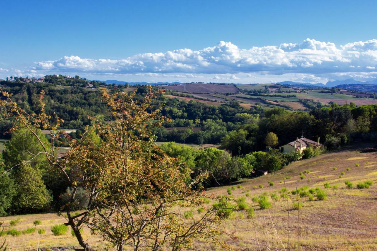 B&B Salvarosa Fano Extérieur photo